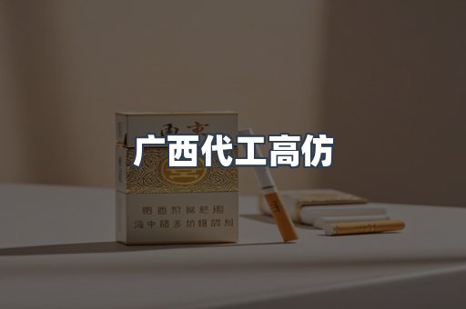 广西代工高仿